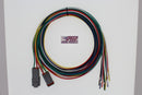 HG-06 -  Deutsch DT, 16 AWG TXL